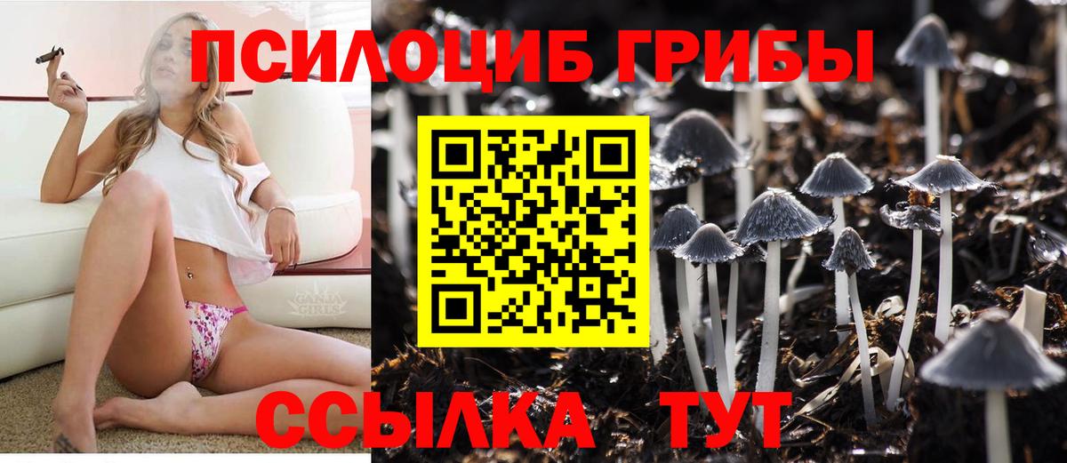 Аша  Галлюциногенные грибы Magic Shrooms  Вход с VPN 