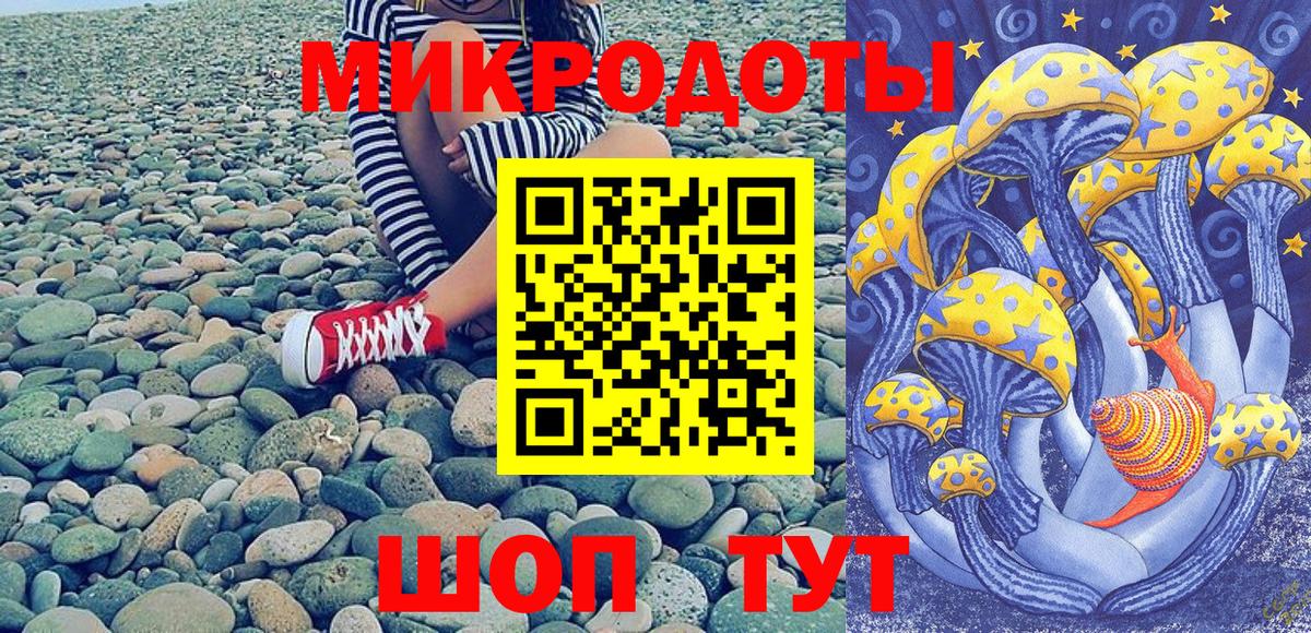 Псилоцибиновые грибы Cubensis Аша